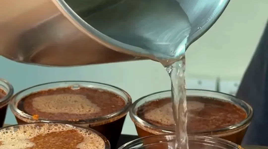 Prova de xícara no laboratório de qualidade